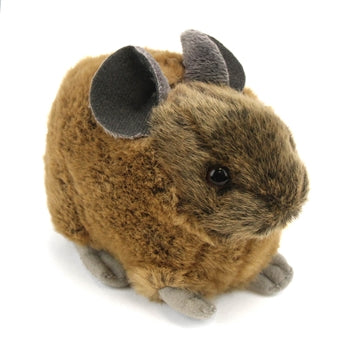 Adopt a Columbia Gorge Pika