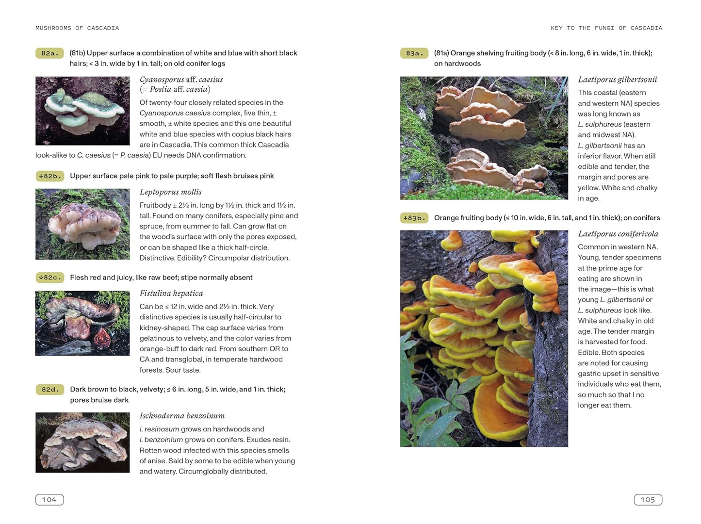 Mushrooms of Cascade Book