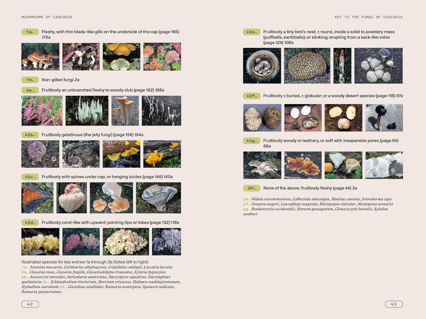 Mushrooms of Cascade Book