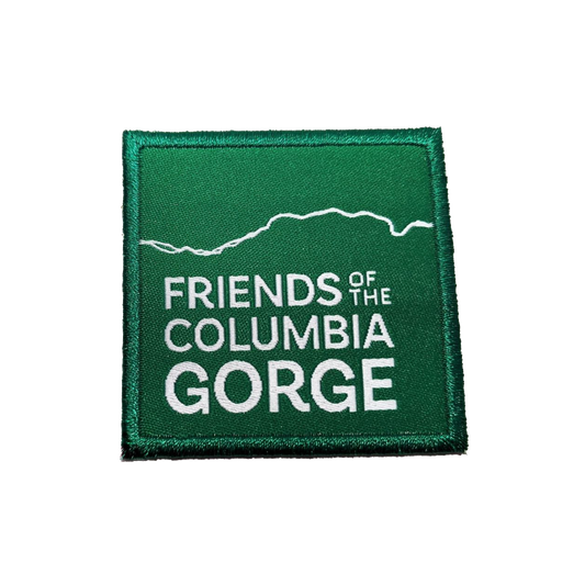 Friends Iron-on Patch