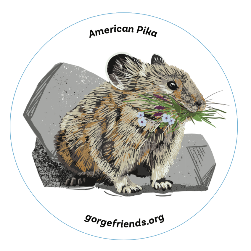 American Pika Sticker