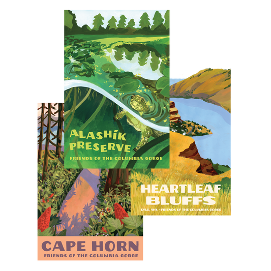 Columbia Gorge Poster Set