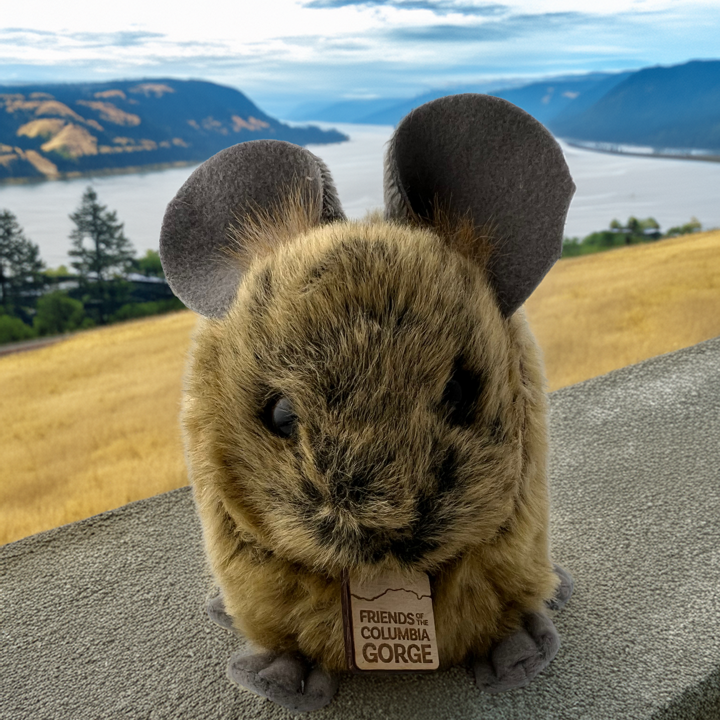Adopt a Columbia Gorge Pika